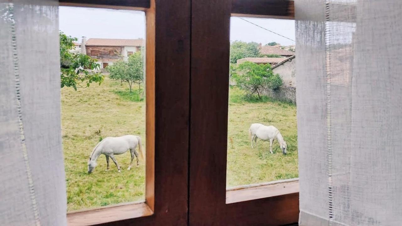 منزل الضيف Navés  في Casa Dolfin - "Tu Hogar En La Costa Del Paraiso" المظهر الخارجي الصورة